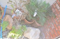 Wide view showing various items including large stone, faux plants, succulents, small decorative stones and pots in a corner