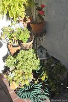 The full view of the 4-tier plant stand holding five live potted plants and the decorative birdhouse placed on the stand.