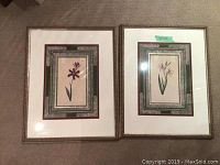 Two framed colored botanical etchings lying flat, showing the full artwork and frames.