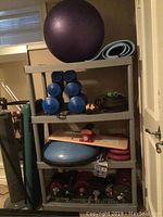 Photo showing exercise equipment on shelving including multiple dumbbells, balance balls, mats, exercise step risers.