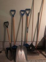 Seven assorted gardening tools including four shovels and two rakes arranged upright against a wall.