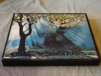 Photobook housed in protective slipcase with a forest and sunlight image on the cover.