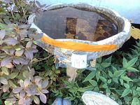 Birdbath fountain filled with water surrounded by plants
