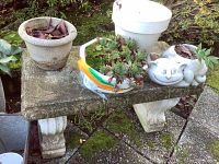 Concrete garden bench supporting multiple pots and a ceramic cat planter with succulents, showing moss growth and weathering on bench surface.