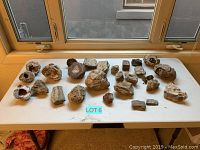 Photo showing assortment of natural geodes, petrified wood, and rocks on a white table by a window.