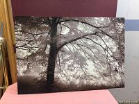 Full front view of the large canvas art showing the tree and branch scene.