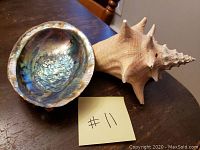 Two sea shells on a wooden surface: a large conch shell and an iridescent abalone shell placed next to a paper label '#11'.