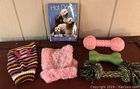 Image of puppy clothes, dog toys, and dog book arranged on a surface showing items clearly.