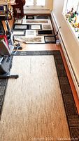Beige and black area rug showing black border and wear with visible pulls and stain near exercise bike