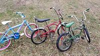Three bikes on lawn, angled left view showing overall condition and colors