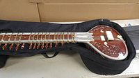 Side view of electric sitar resting in open padded gig bag