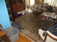 Wide shot of living room area rug with floral and geometric patterns, showing size and placement under furniture