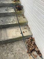 Two long metal shepherd's hooks, exhibiting rust and wear, one with decorative dragonfly detail, lying on concrete steps.
