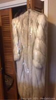 Full view of fur coat in protective plastic garment bag hung on wooden door.