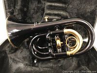 Jupiter pocket trumpet resting inside its open plush-lined case showing bell and tubing