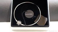 Close-up image of the sterling silver bangle bracelet with the fireworks star clasp and Pandora tag inside the box.