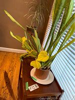 Two potted plants on a wooden plant stand near a window, showing leaf details and pots.