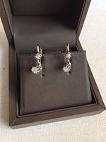 Front view of earrings displayed in box