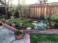 Outdoor garden scene showing various clay and plastic planters along brick garden bed edge with live plants and soil inside some containers.