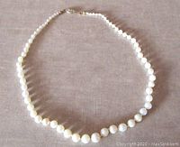 Full view of the vintage pearl necklace laid flat showing graduated pearls and gold filled clasp.