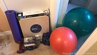 Full lot showing yoga mat, balance board, exercise balls, dumbbells, and DVDs