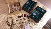 Wide shot showing assorted jewelry spread out including necklaces, rings, earrings in trays and box.