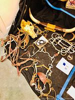 Lot items arranged on black cloth including mounted longhorns, animal skull, horse bits, spurs, and leather straps.