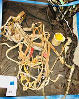 Image showing leather and metal horse tack equipment including bridles, reins, bits and a yellow container on a dark fabric background