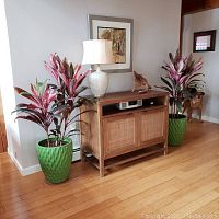 Two live floor plants displayed on either side of a wooden cabinet, each in a green textured ceramic pot with diamond pattern.