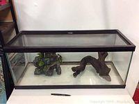 Full view of the rectangular glass terrarium with metal frame and mesh lid, showing size in context with pen underneath.