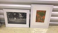 Photo showing both framed photographs side by side, one black and white building scene, the other colorful autumn trees.