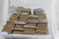 Large white plastic storage container filled with stacks of football trading cards separated by hand-labeled paper dividers indicating NFL teams like Bears, Cardinals, Falcons, Eagles, Chiefs, Cowboys, Jets, and Packers among others.