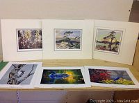 Six prints displayed on a surface, three mounted with mats and three loose prints showing nature and wildlife subjects.