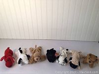 Photo showing the full row of 7 Beanie Babies dog plush toys, various colors and breeds, all with TY tags, arranged in a line on a white wood paneled backdrop.