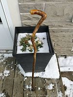 Full view of the burl wood walking stick showing its natural shape and length, placed outdoors on a wooden plank with snow in the background.