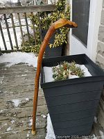 Full view of the 36-inch tall walking stick standing against a planter outdoors on a wooden deck lightly covered with snow.