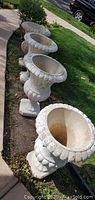 Four white plaster urn planters lined up on lawn and sidewalk.