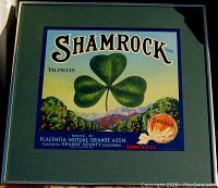 Front view of framed Shamrock brand fruit crate label showing vibrant colors and label details.