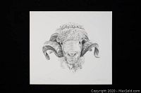 Front view of the black and white ram head print on white paper, showing the detailed texture of the ram's wool and horns.