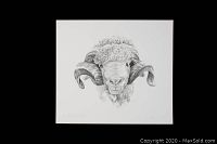 Full front view of the limited edition print showing the detailed ram portrait in black and white on white paper.