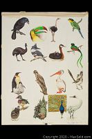 Full image of bird illustration poster featuring 19 different birds painted with vibrant details and colors, signed and dated by artist Nancy Eason April 1983.