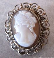 Close-up front view of the oval shell cameo brooch with white carved figure and ornate metal frame.