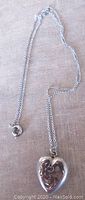 Full pendant and chain laid out showing length and clasp