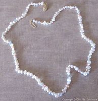 Full view of the approx. 17 inch long necklace laid flat, showing the full string of small pastel-colored freshwater pearls and the gold clasp at the end.