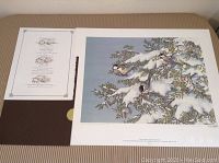 Full print with Certificate of Authenticity and folder beside it