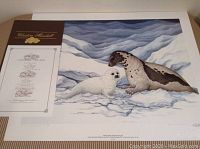 Full view of the signed limited edition print showing a mother seal and pup on ice with certificate of authenticity included.