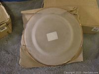 Single 10-inch translucent plate with brownish edge visible on top of cardboard packaging.