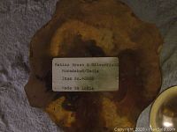 Label underneath large brass container showing brand 'Matins Brass & Silverfields', location 'Morsabad/India', item no. 42008, made in India