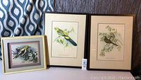 Set of three framed bird art prints displayed side by side.