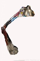 Full lamp laid out on floor showing articulated arm and base